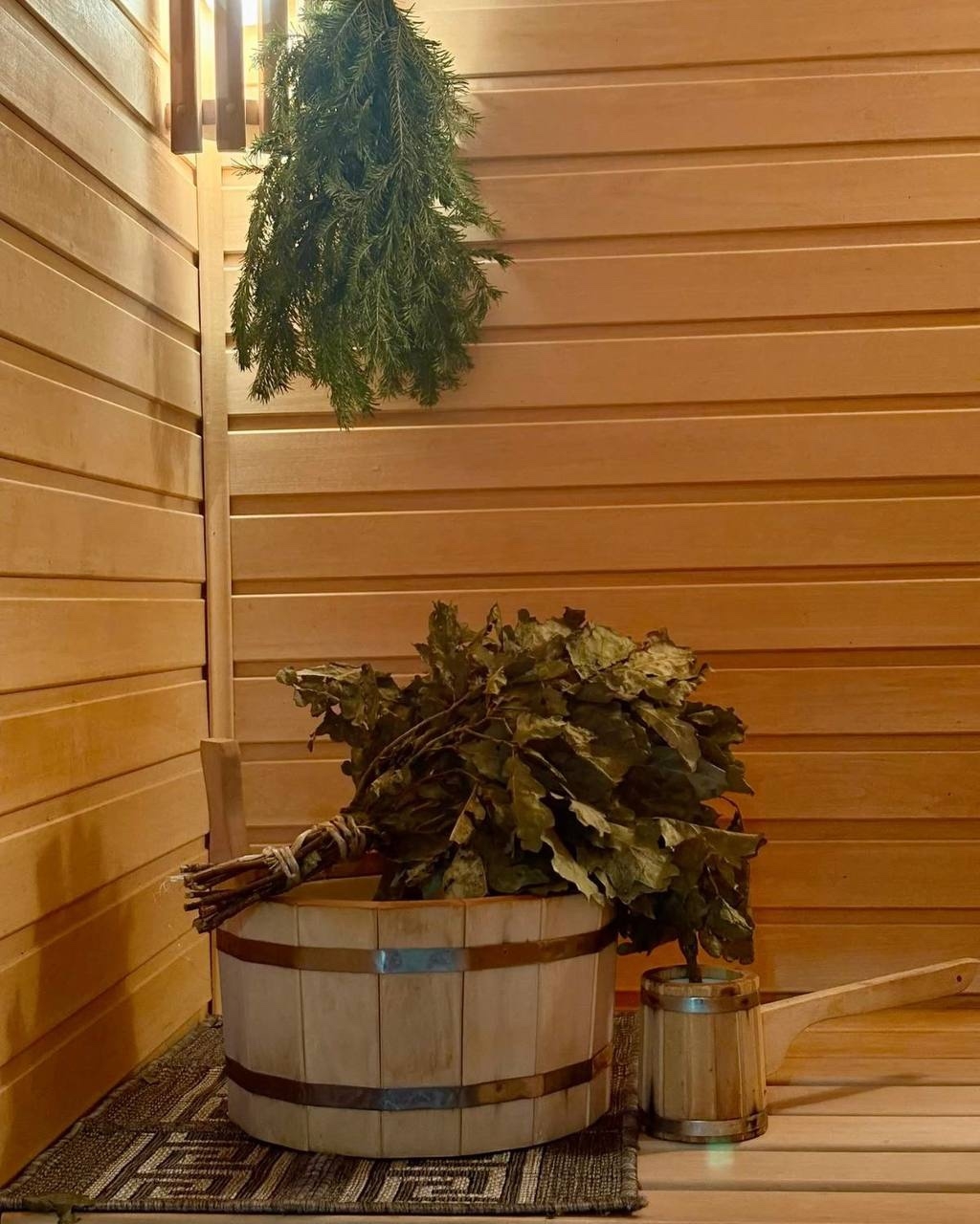 ���� ����� ������ 