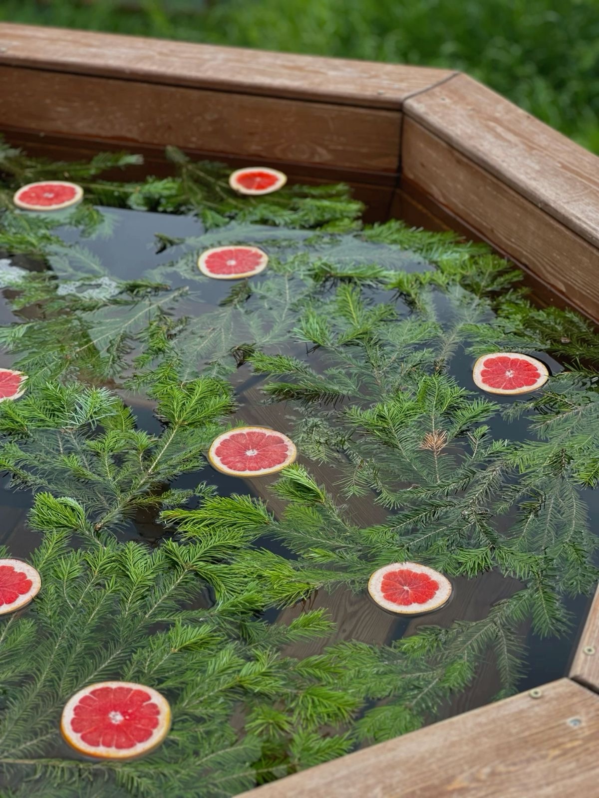 ���� ����� ������ 