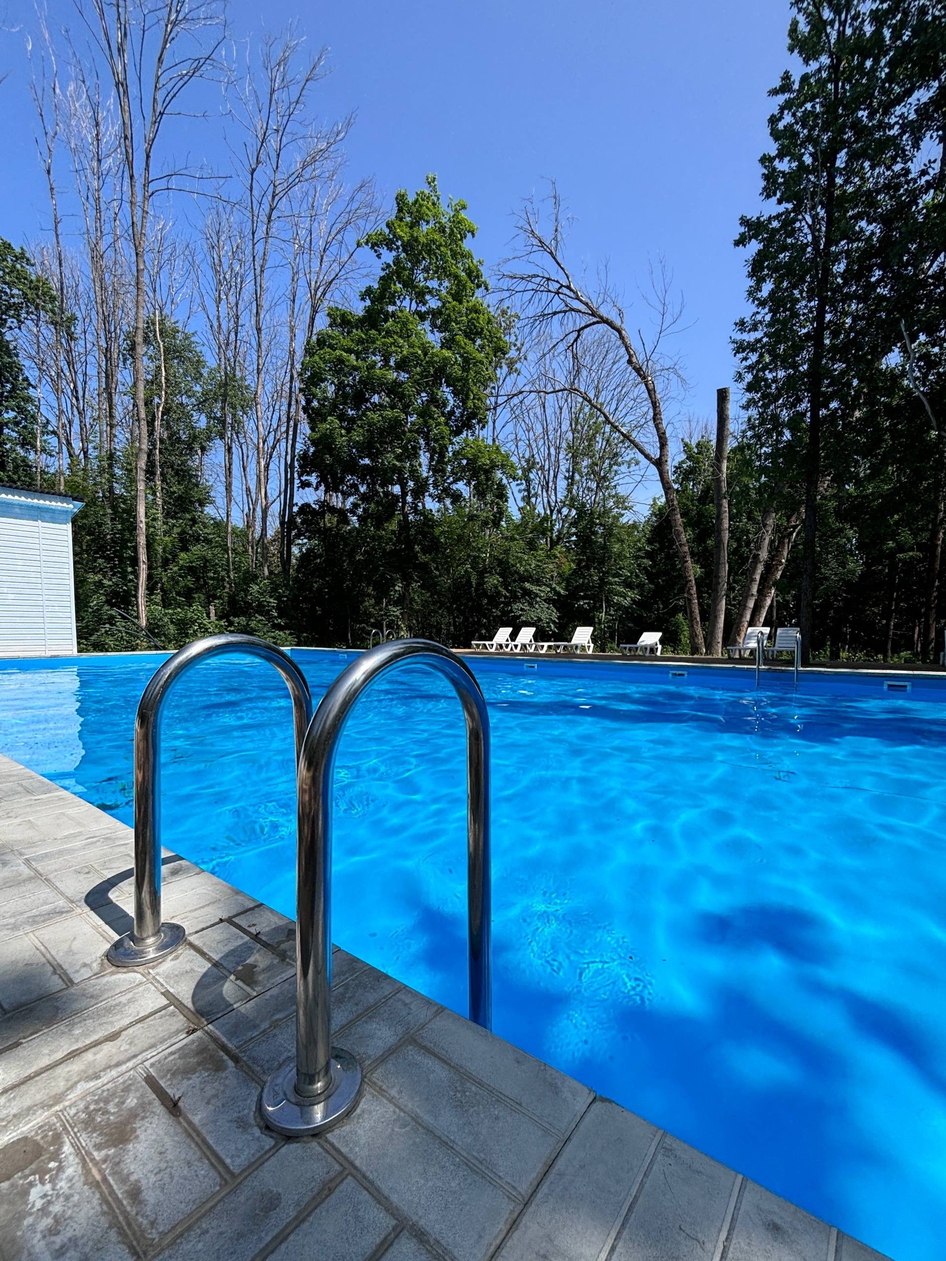 ���� ����� ������ 