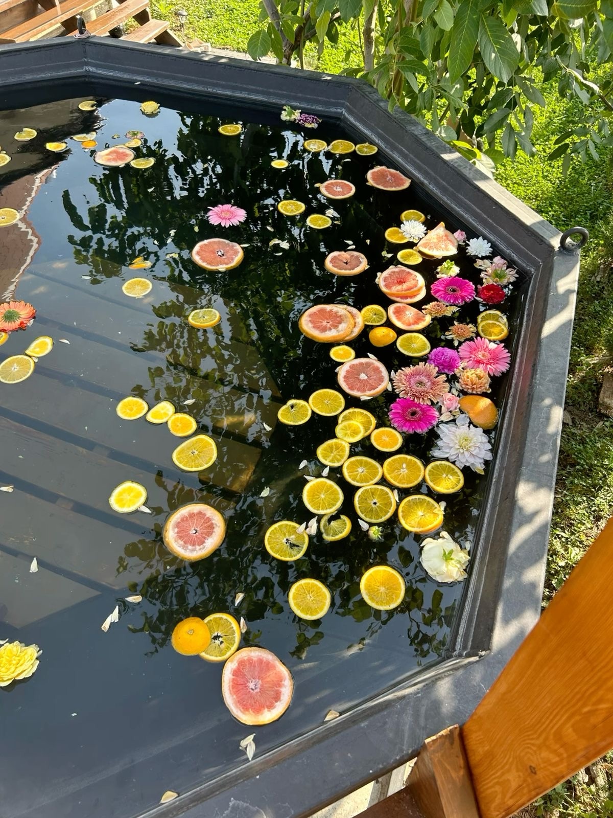 ���� ����� ������ 