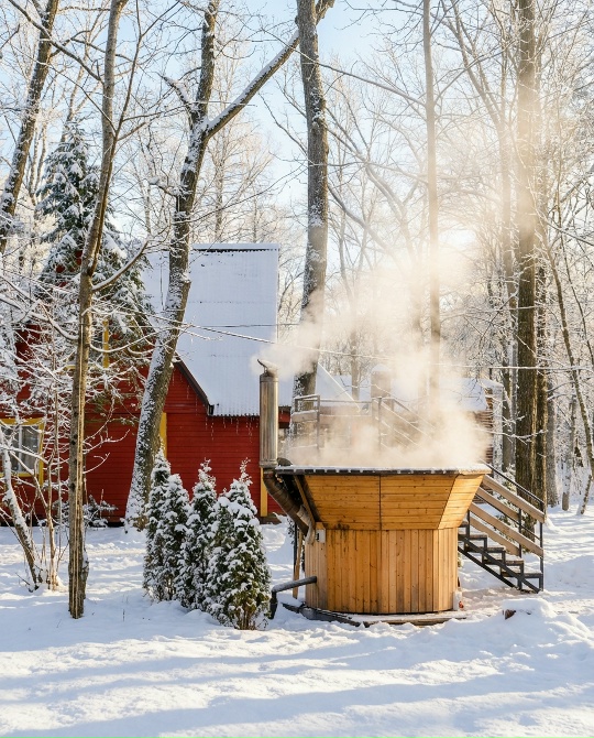 ���� ����� ������ 