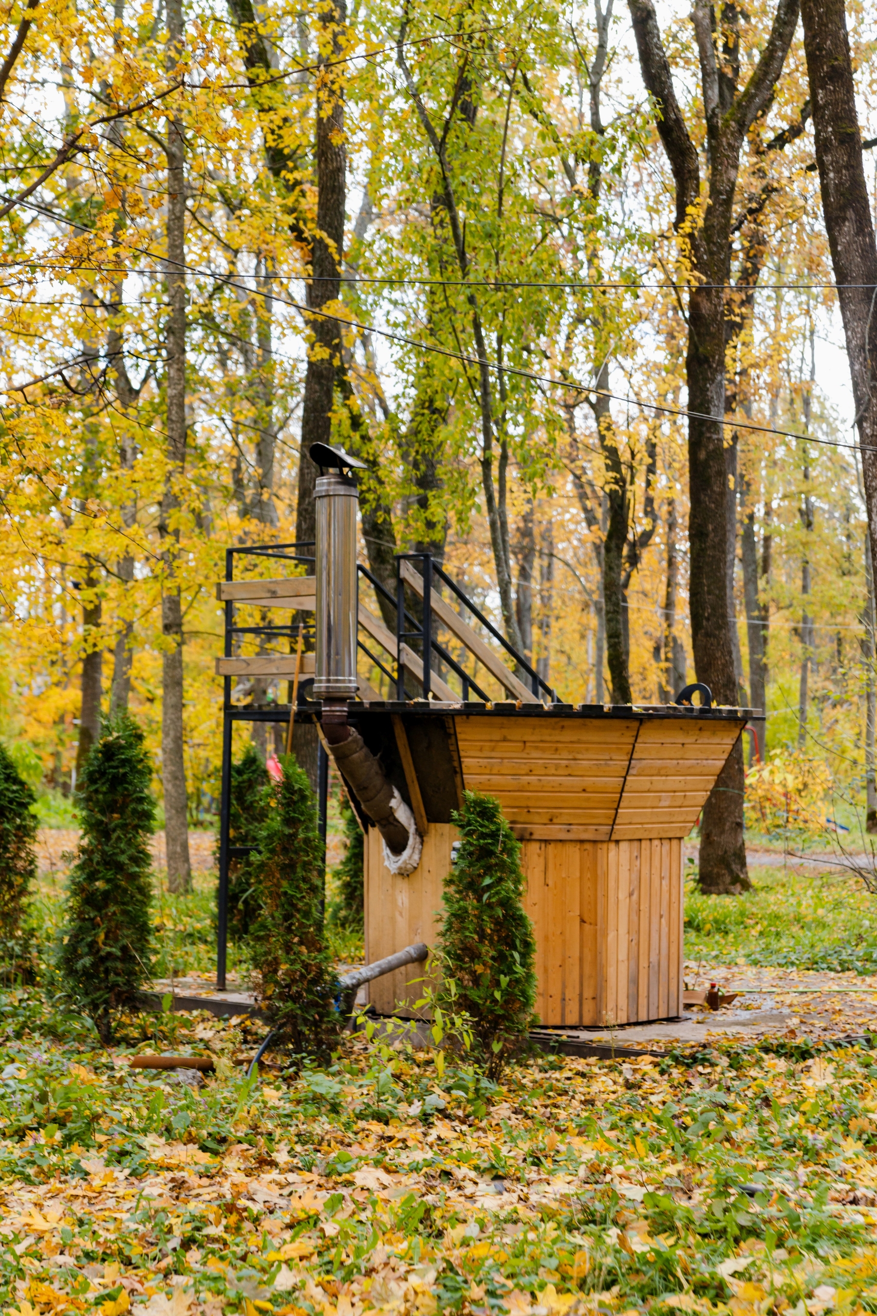 ���� ����� ������ 